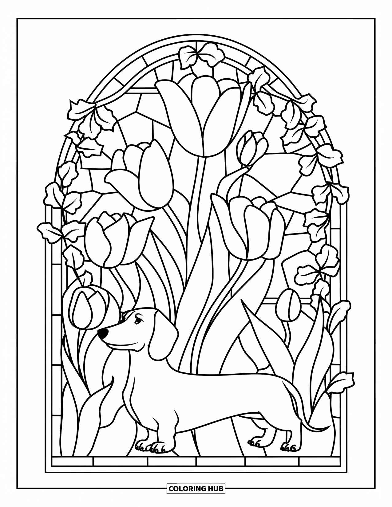 Dachshund Coloring Page for Adults: A dachshund stands tall, surrounded by a stained glass window of ivy and flowers