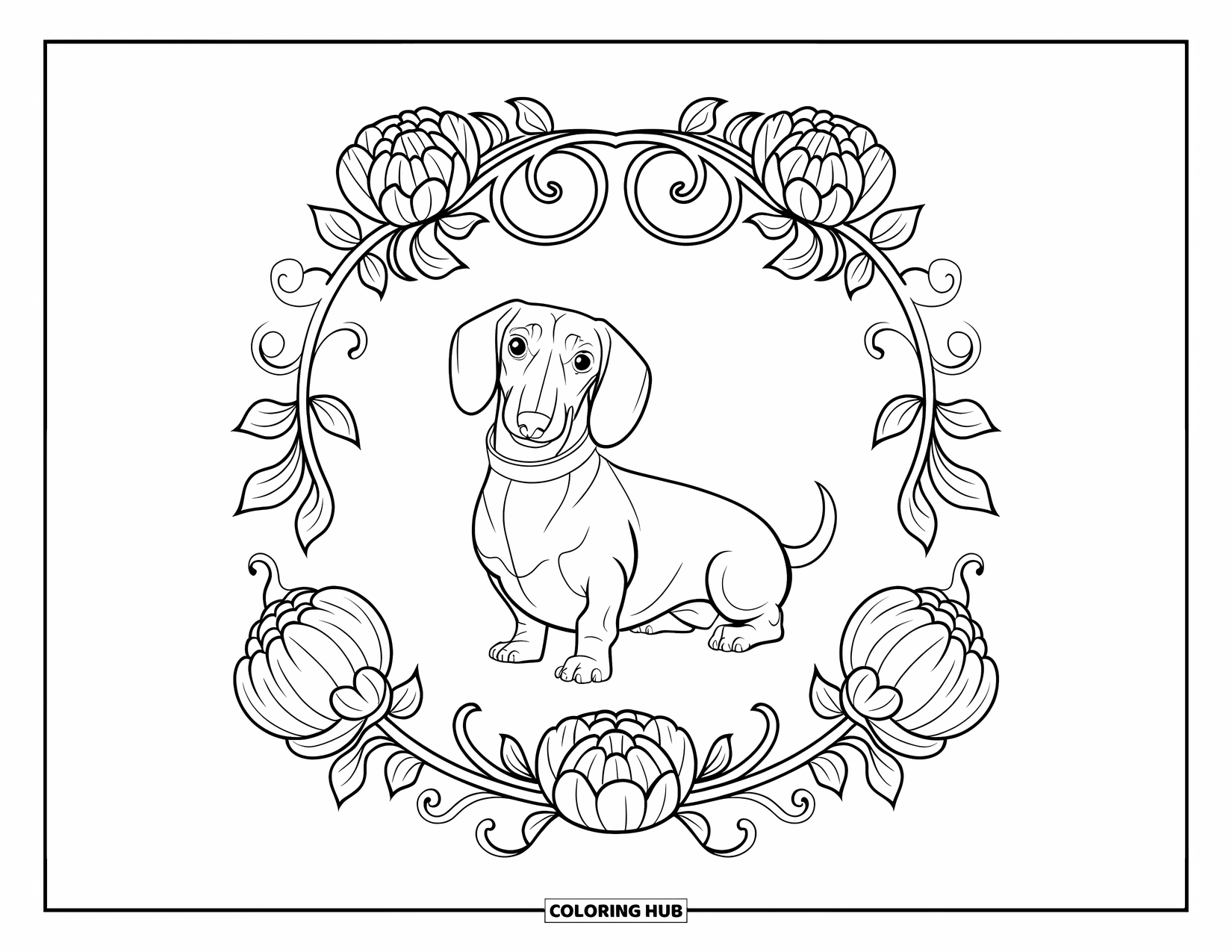 Dachshund Coloring Page for Adults: A dachshund with perked ears sits among swirling vines, flowers, and leafy patterns