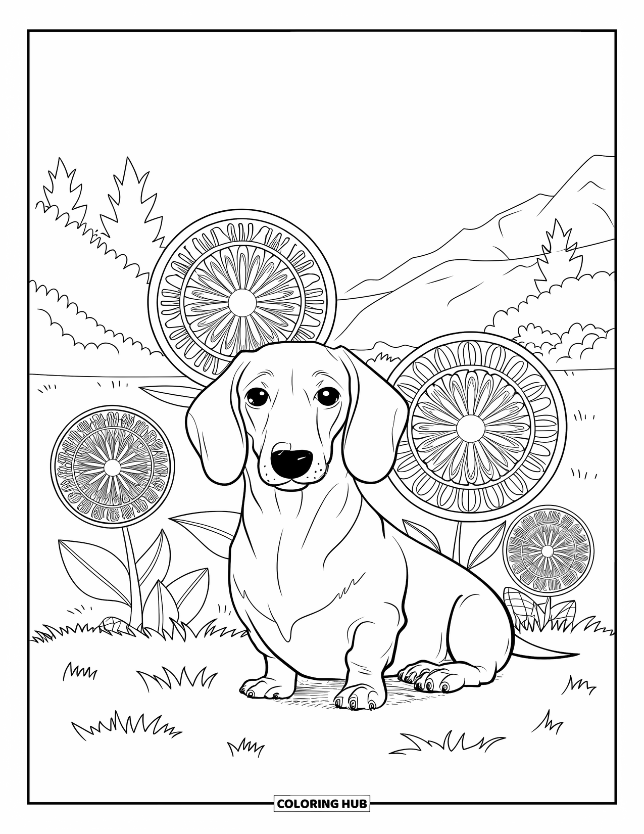 Dachshund Coloring Page for Adults: A peaceful dachshund sits on grass with blooming mandala flowers and gentle mountains behind