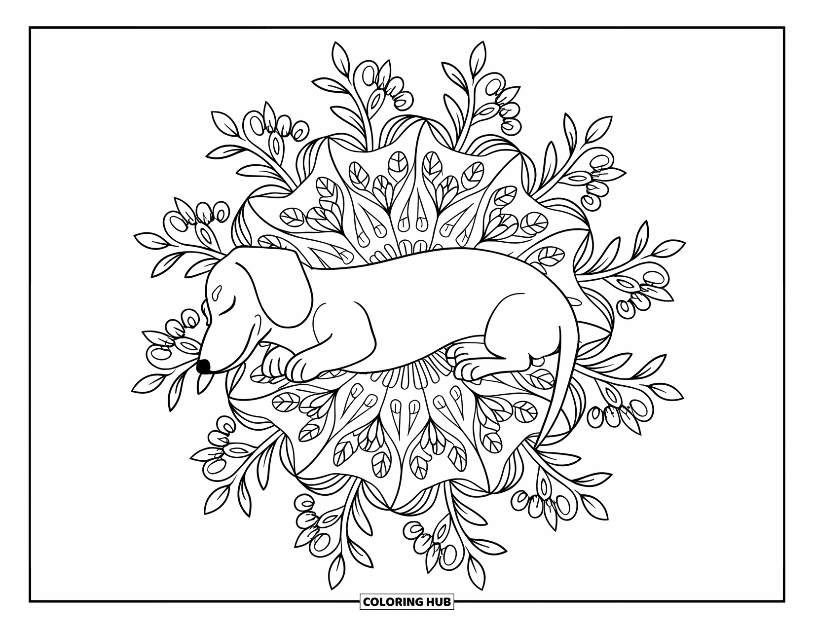 Dachshund Coloring Page for Adults: A sleeping dachshund lies under a floral mandala canopy with peaceful vibes