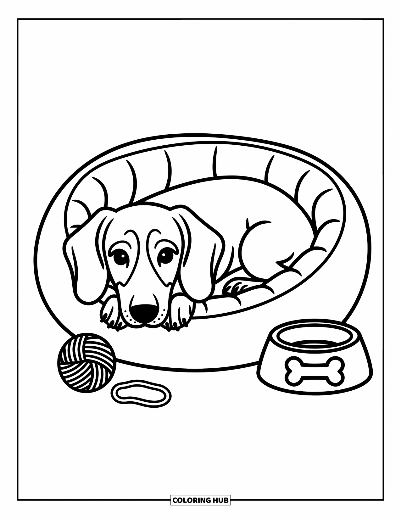 Dachshund Coloring Page for Adults: Cozy dachshund curls up in a donut bed beside a ball of yarn and food bowl
