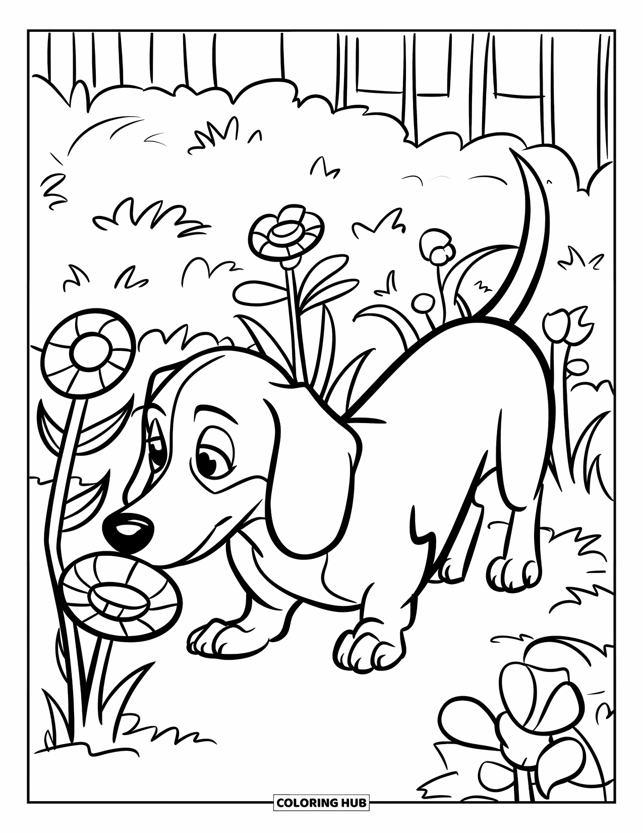 Dachshund Coloring Page for Kids: Curious dachshund sniffs garden flowers on a sunny patch of grass