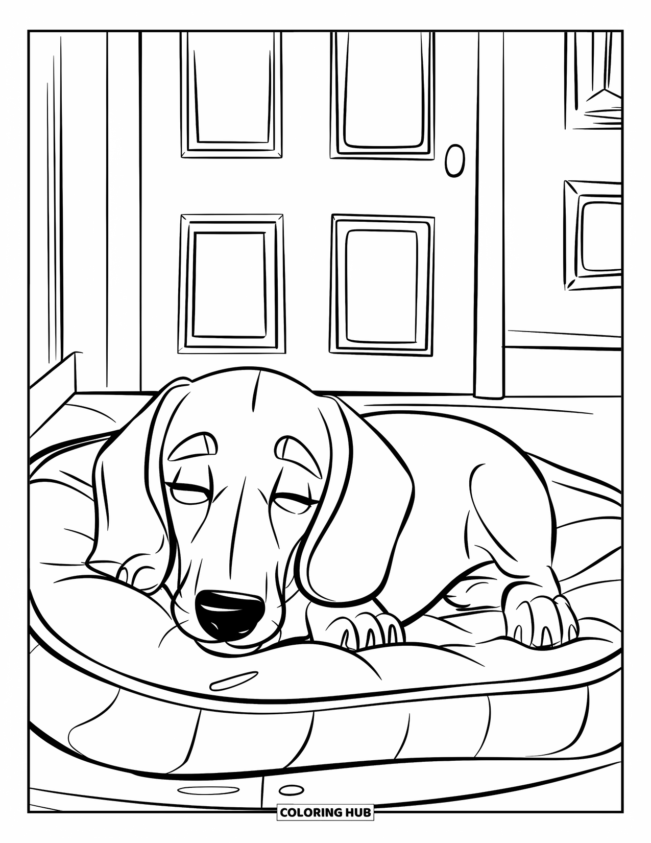 Dachshund Coloring Page for Kids: Dachshund naps peacefully on a bed in a quiet white room