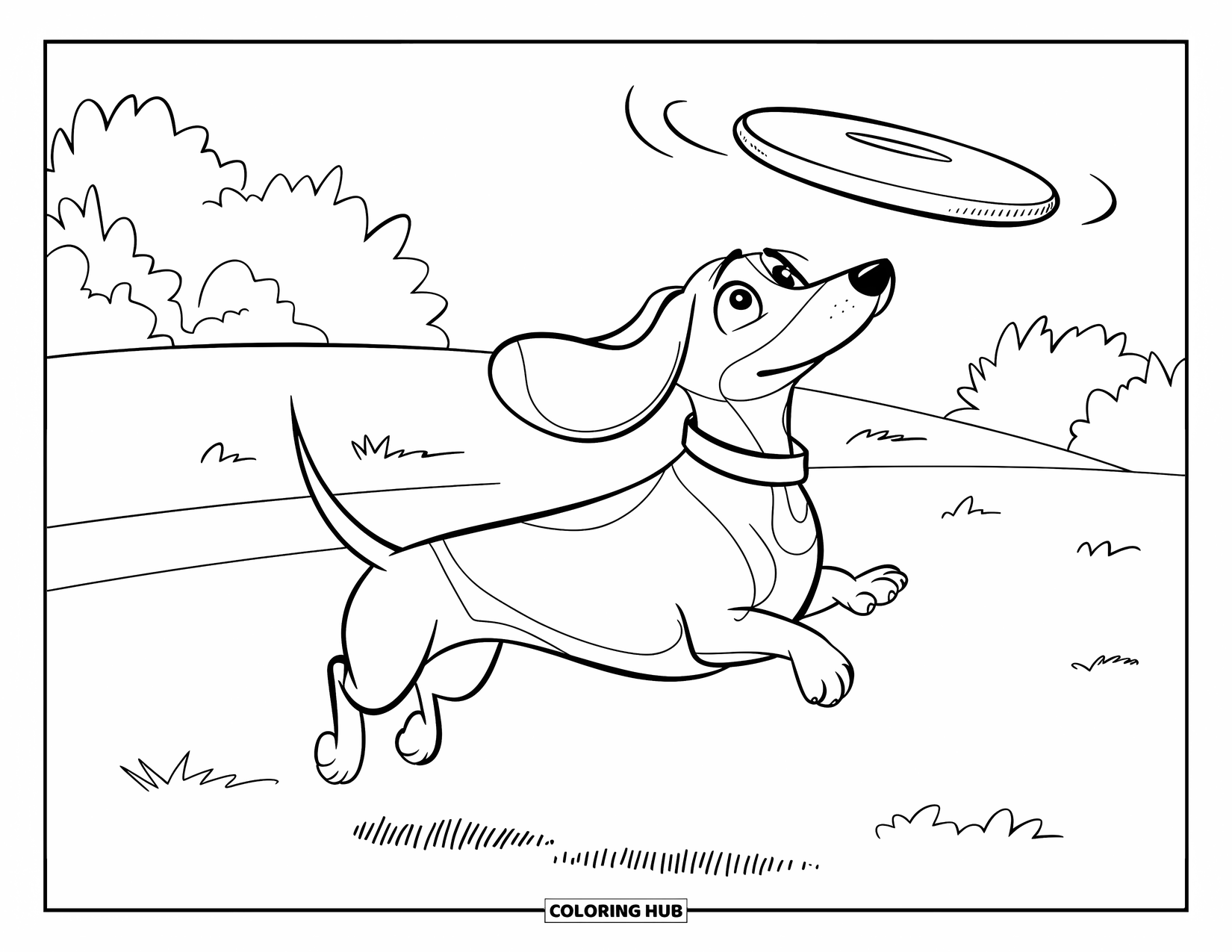 Dachshund Coloring Page for Kids: Dachshund soars after a frisbee in a playful outdoor scene
