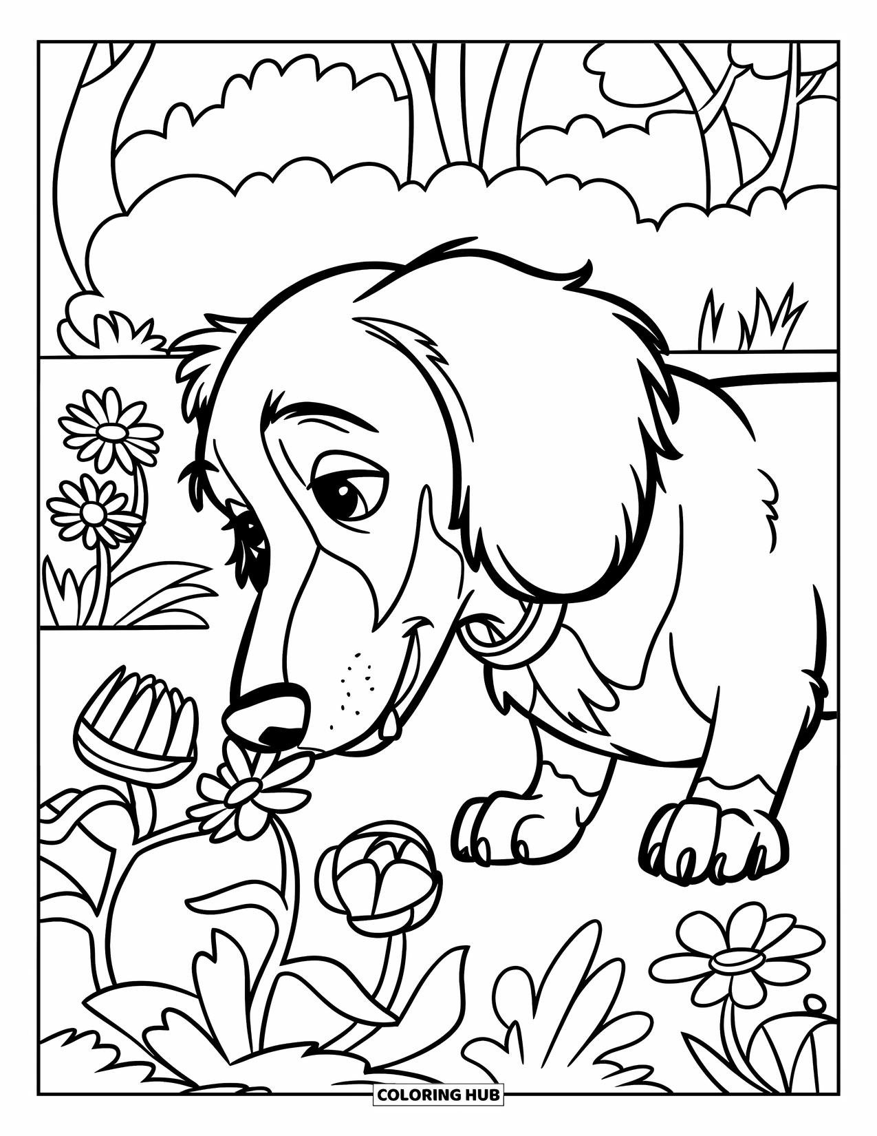 Dachshund Coloring Page for Kids: Fluffy pup explores a garden full of bright flowers and trees