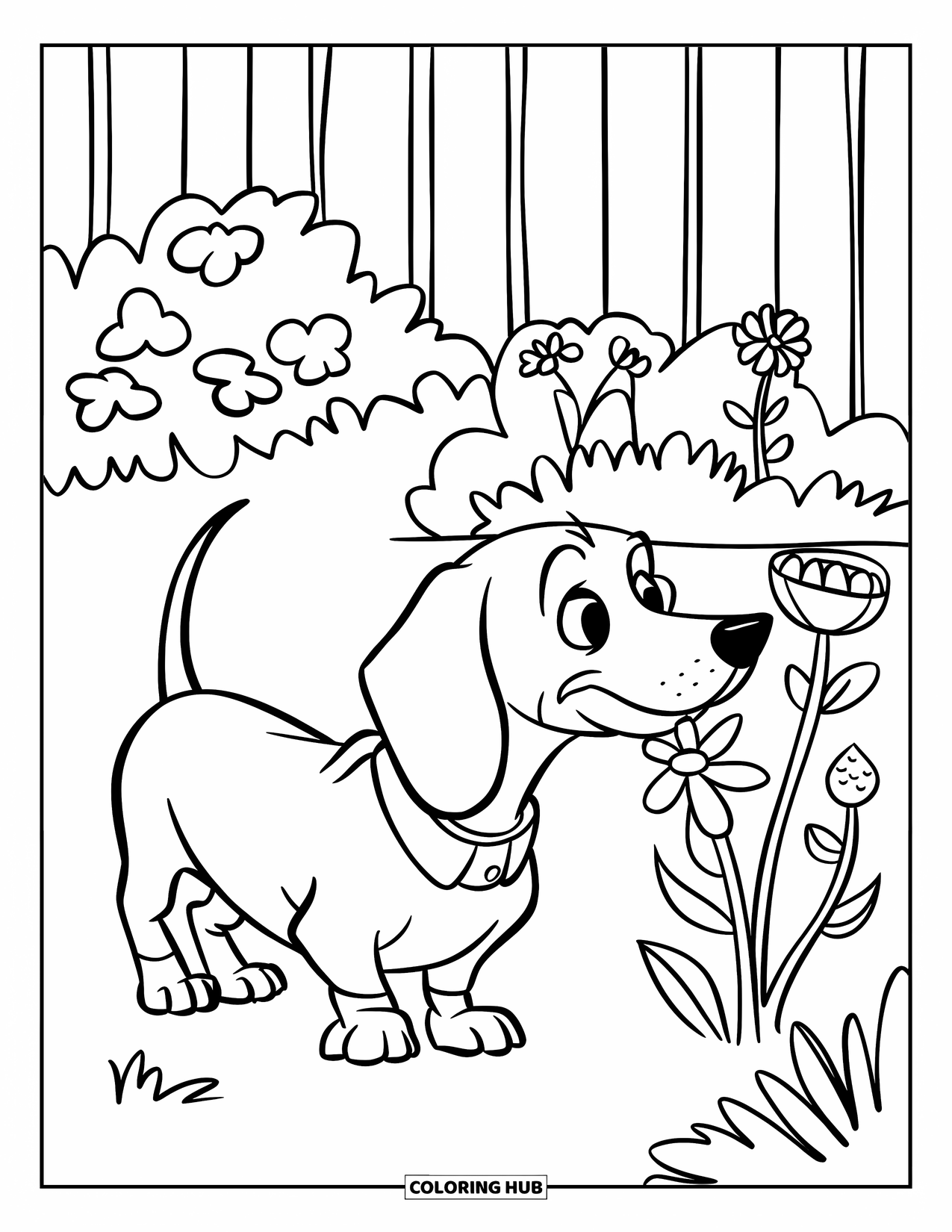 Dachshund Coloring Page for Kids: Long-bodied pup enjoys a colorful garden of flowers and plants