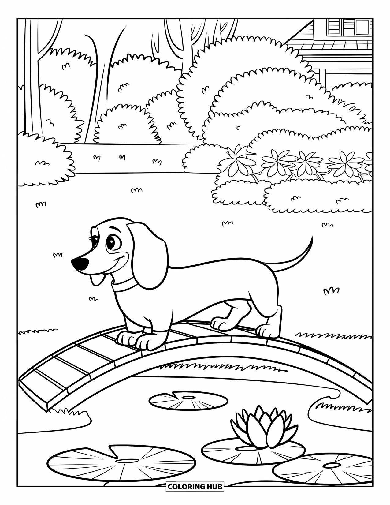 Dachshund Coloring Page for Kids: Pup crosses a wooden bridge over lily pads in a lovely garden