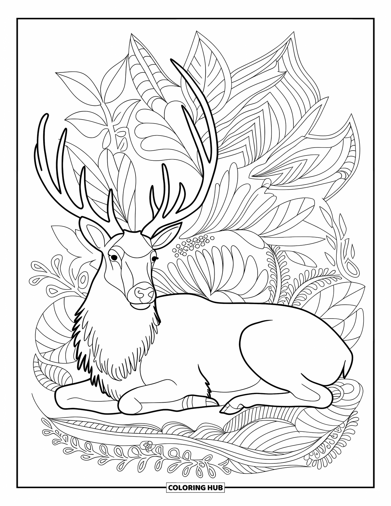 Elk Coloring Page for Adults: Elk rests peacefully within detailed leaf and flower patterns on a plain background