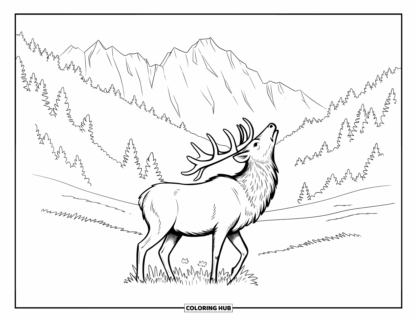 Elk Coloring Page for Adults: Elk stands in a mountain meadow looking up, surrounded by forests and peaks