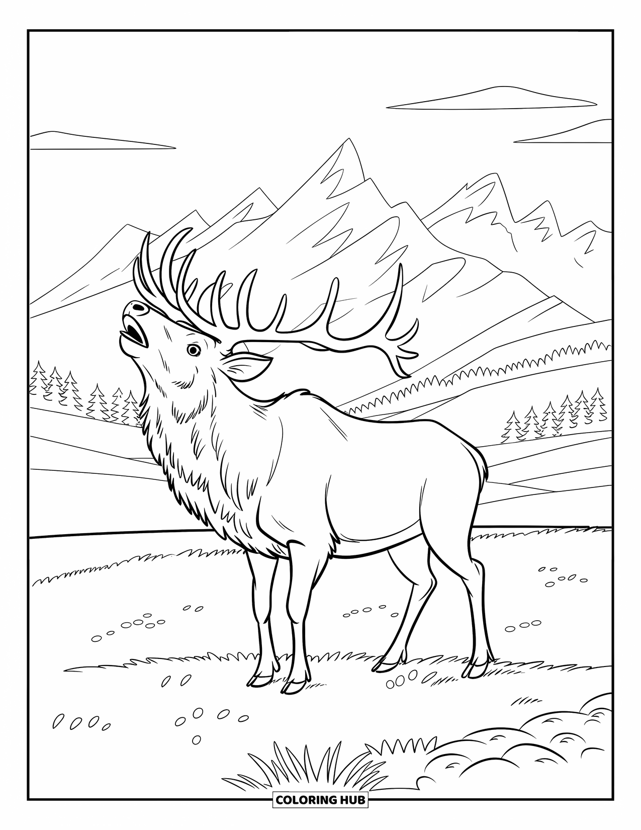 Elk Coloring Page for Kids: Bugling elk stands proudly in a field under a clear mountain sky