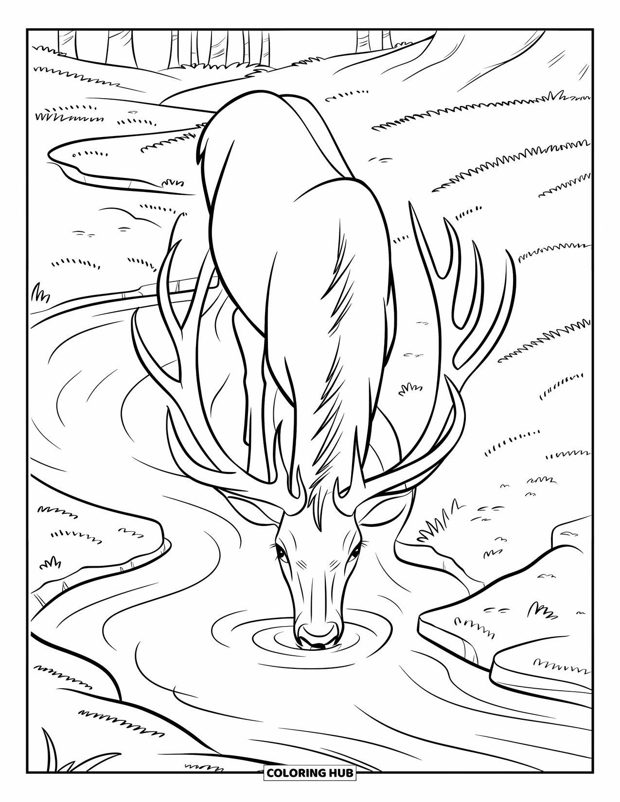 Elk Coloring Page for Kids: Elk drinks from a gently rippling stream on rocky ground