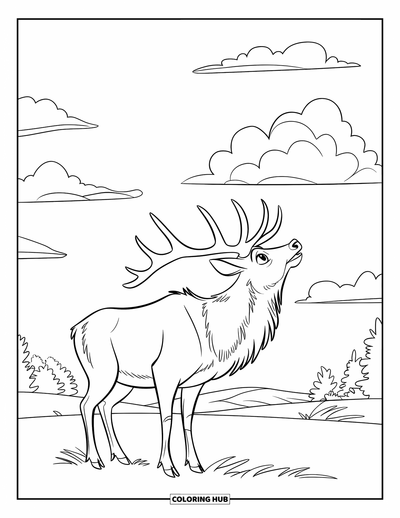 Elk Coloring Page for Kids: Elk looks up at puffy clouds while standing in a grassy field