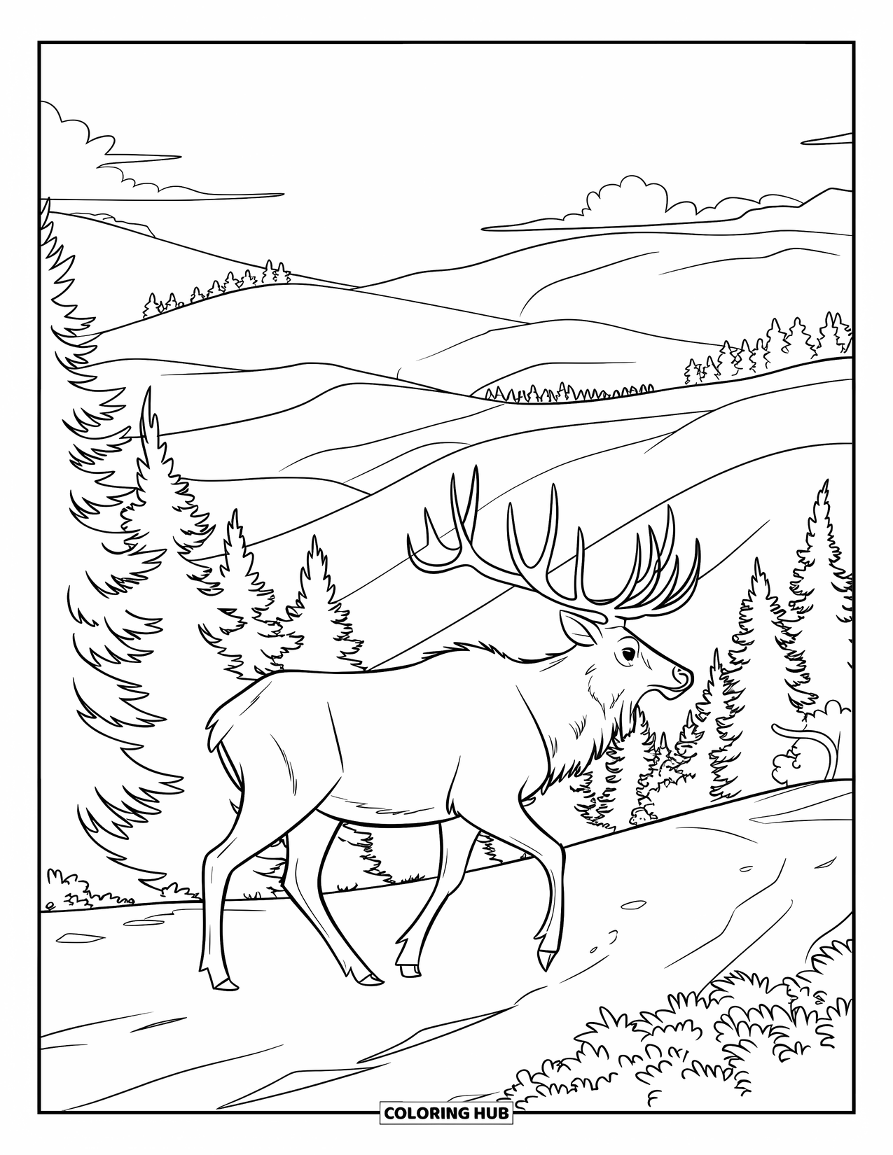 Elk Coloring Page for Kids: Elk with proud rack walks along a dirt path under pine-covered hills