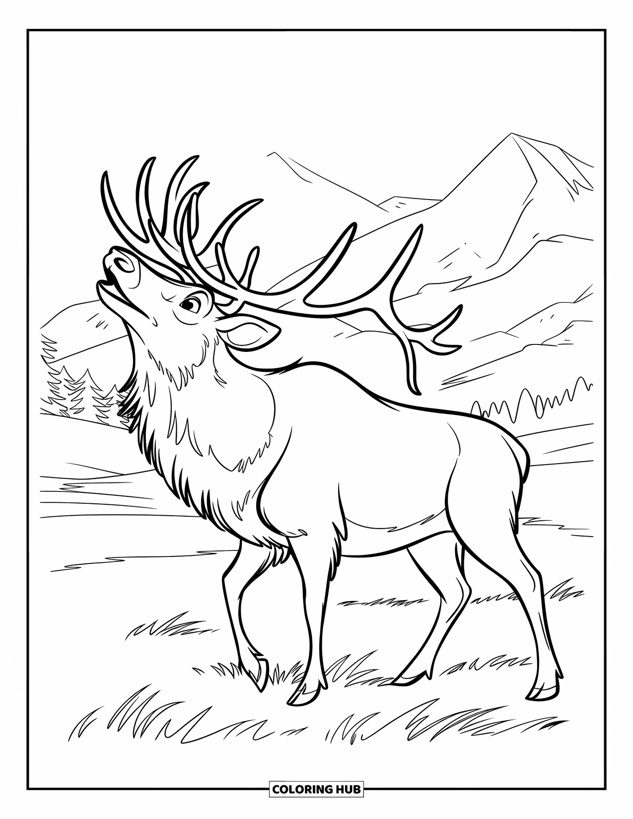 Elk Coloring Page for Kids: Majestic elk bugling in a grassy field with mountain peaks behind