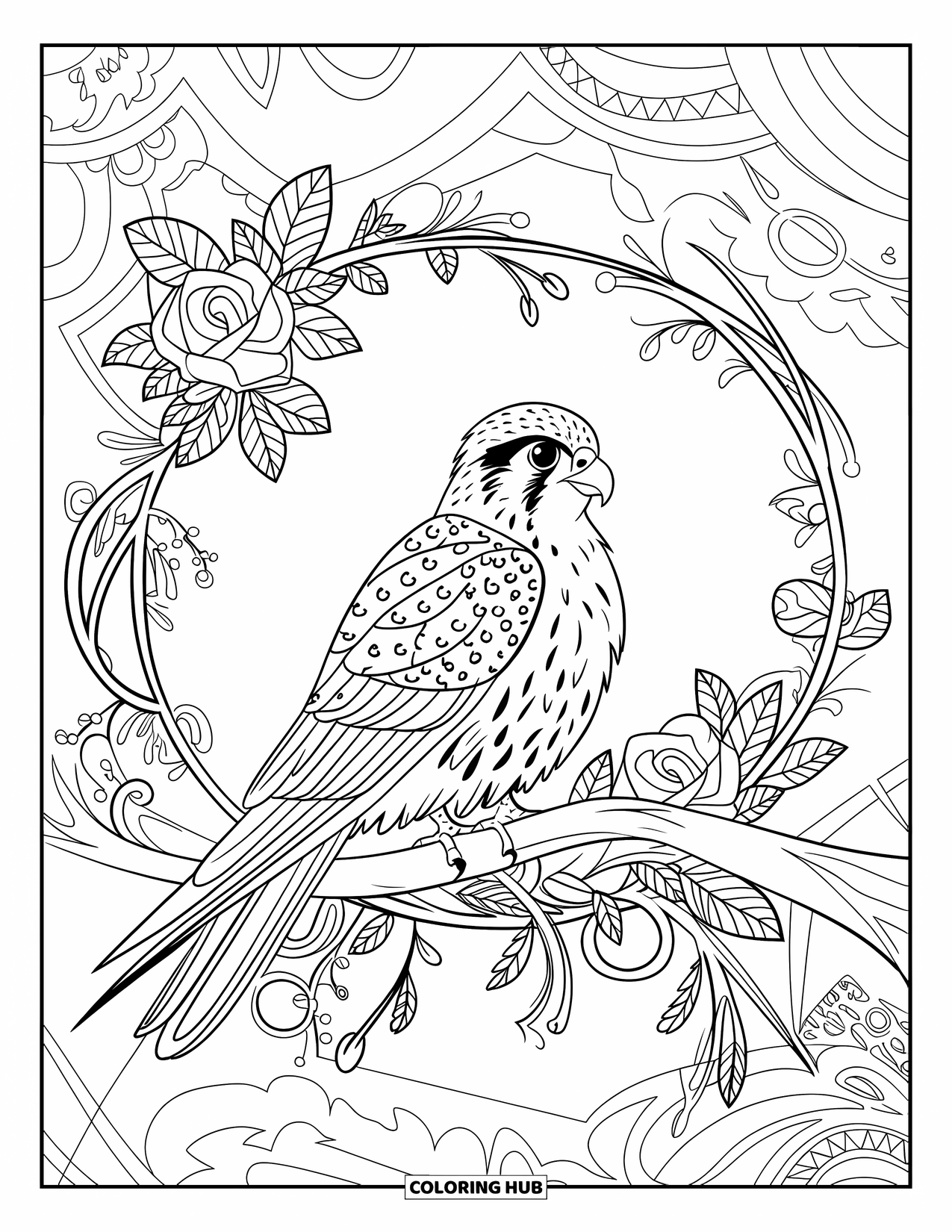 Falcon Coloring Page for Adults: Falcon relaxes on a vine-wrapped branch with roses and swirling flowers
