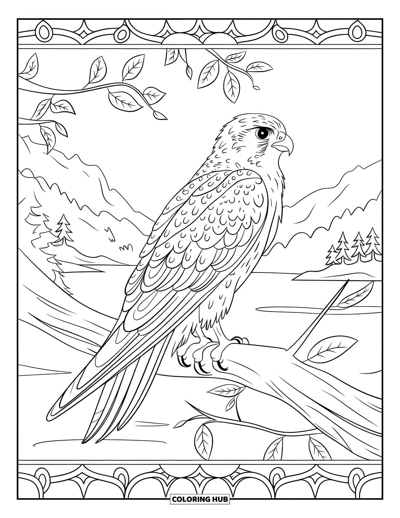 Falcon Coloring Page for Adults: Wings-folded falcon gazes sideways from a branch above a mountain view