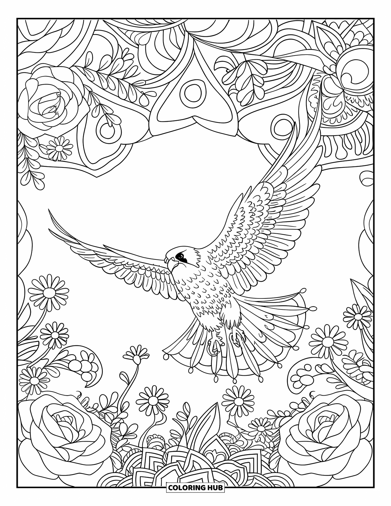 Falcon Coloring Page for Adults: Wings spread wide, falcon flies through a floral mandala filled with details