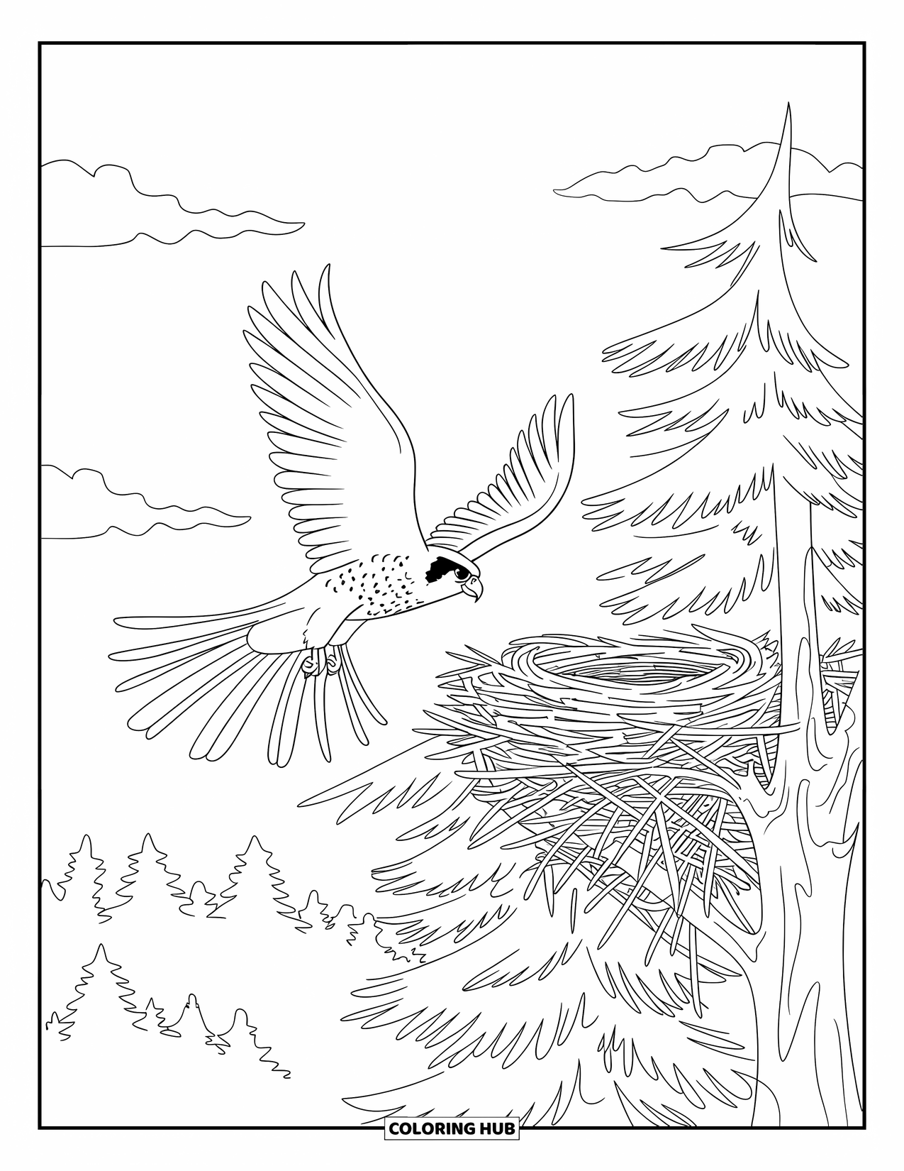 Falcon Coloring Page for Kids: Falcon flies above pine trees with a nest in sight