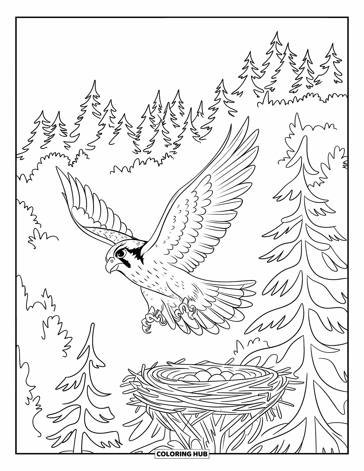 Falcon Coloring Page for Kids: Falcon glides above pine trees with a nest nestled below