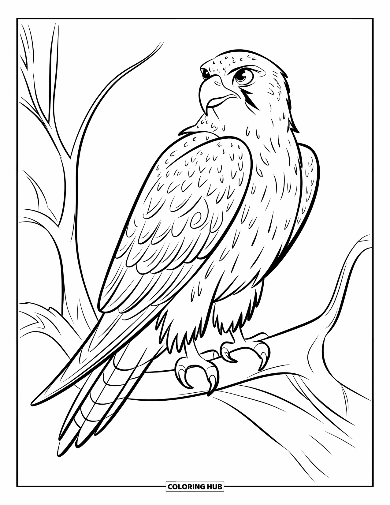 Falcon Coloring Page for Kids: Falcon sits quietly on a bare branch with clean outlines