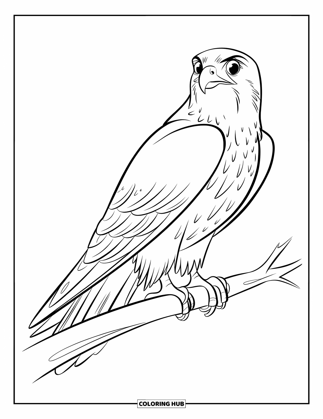 Falcon Coloring Page for Kids: Falcon with wide eyes rests calmly on a thin branch