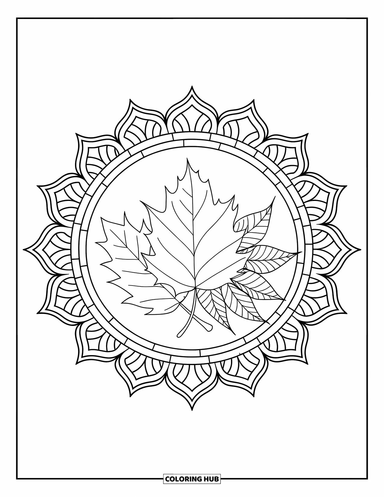Fall Leaves Coloring Page for Adults: A trio of fall leaves rests at the center of a clean, patterned mandala
