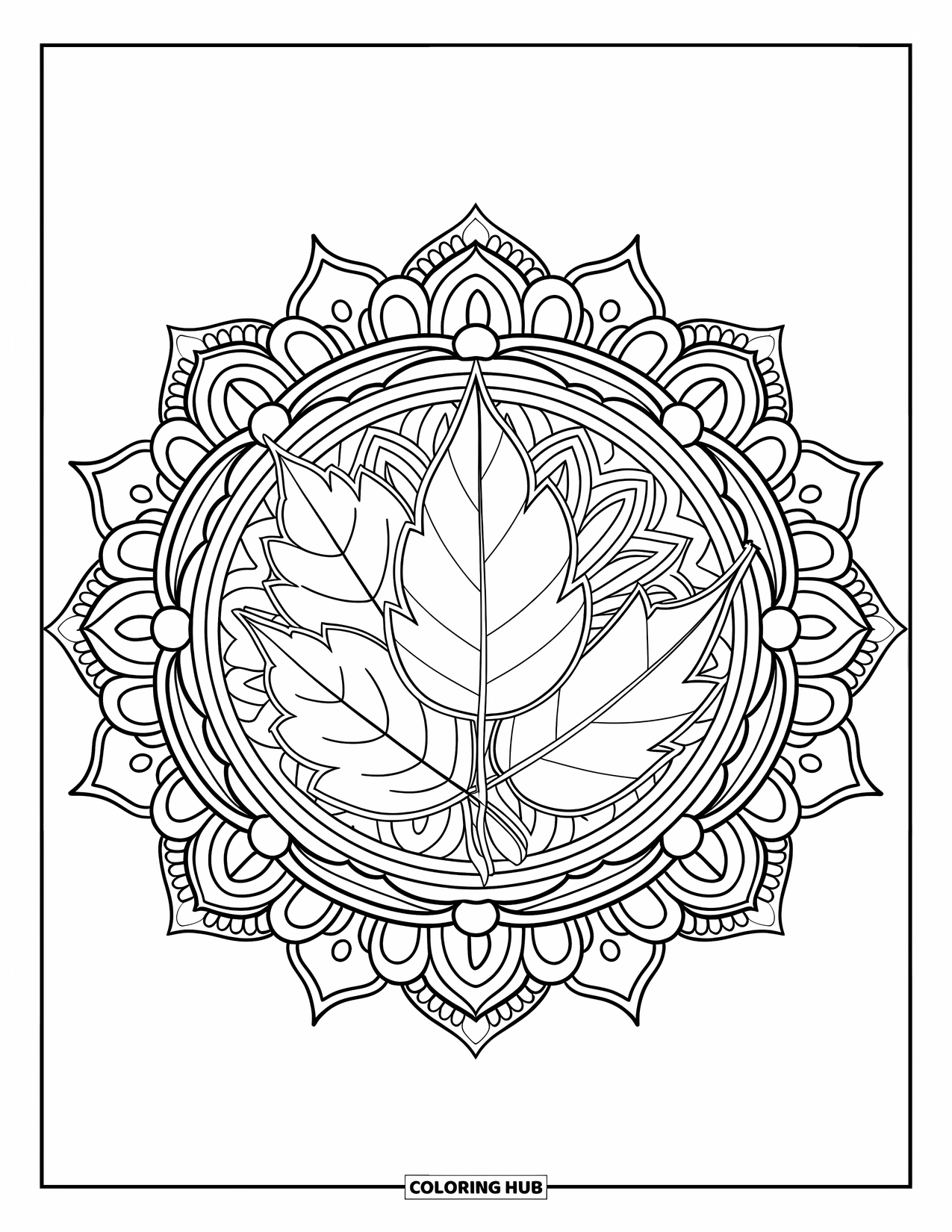 Fall Leaves Coloring Page for Adults: Assorted fall leaves are wrapped in mandala rings filled with tiny geometric patterns