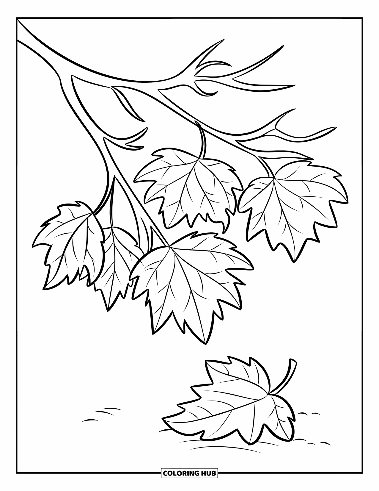 Fall Leaves Coloring Page for Kids: A branch holds several fall leaves while one leaf floats gently toward the ground