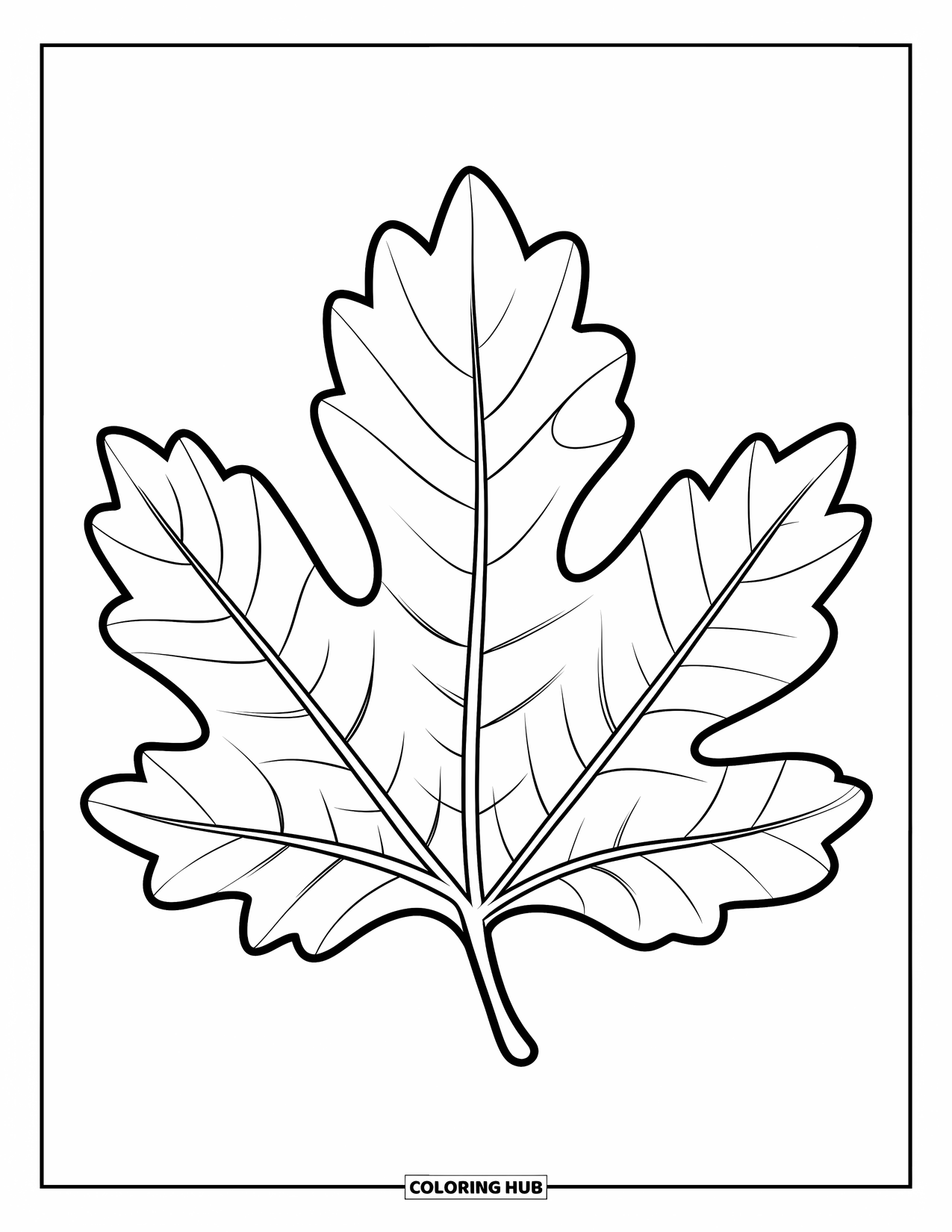 Fall Leaves Coloring Page for Kids: A chestnut leaf with soft curves and wide lobes lies flat and simple