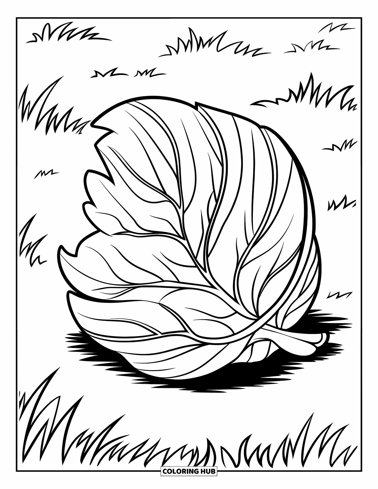 Fall Leaves Coloring Page for Kids: A curled-up birch leaf rests quietly on soft grass in a bold style