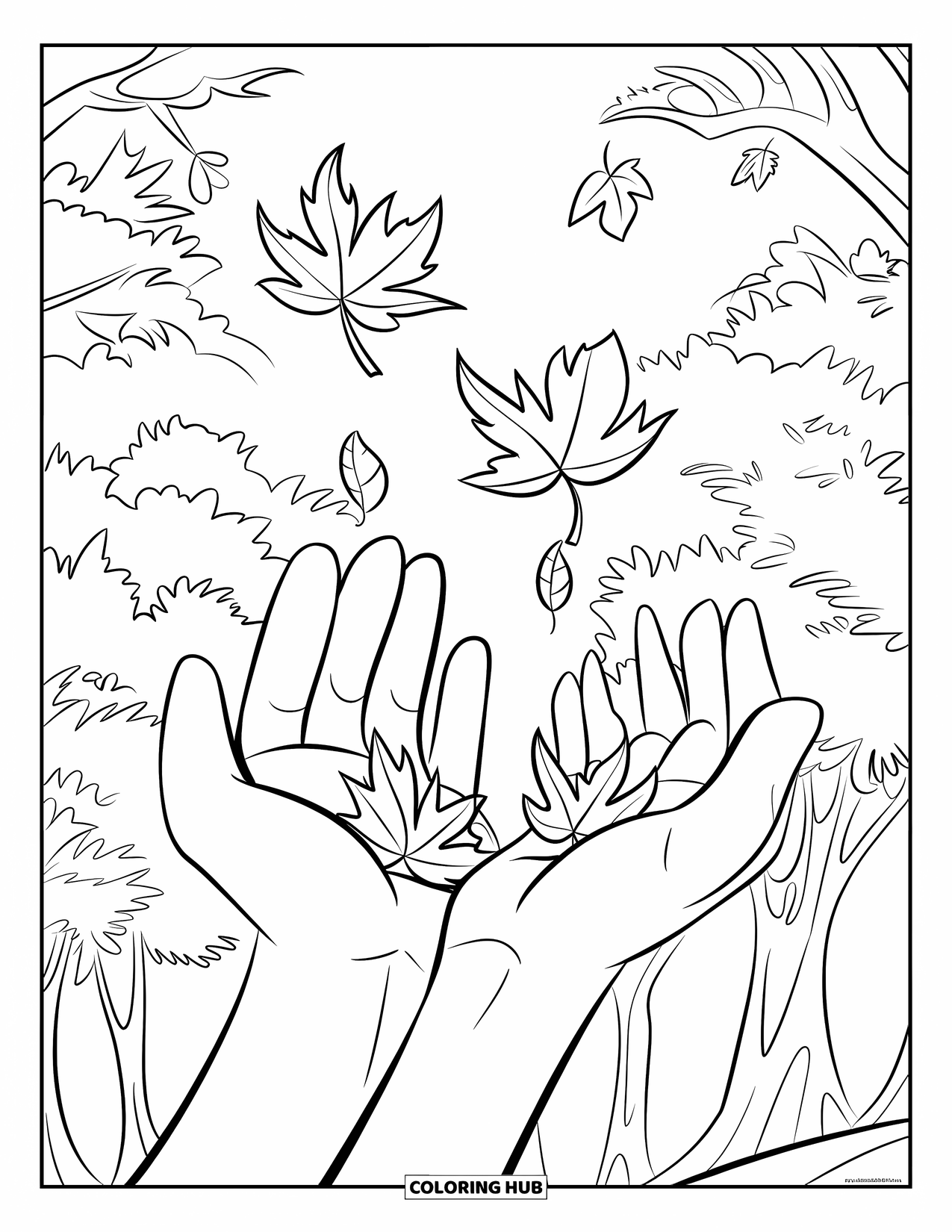 Fall Leaves Coloring Page for Kids: A pair of hands catch autumn leaves falling from nearby trees