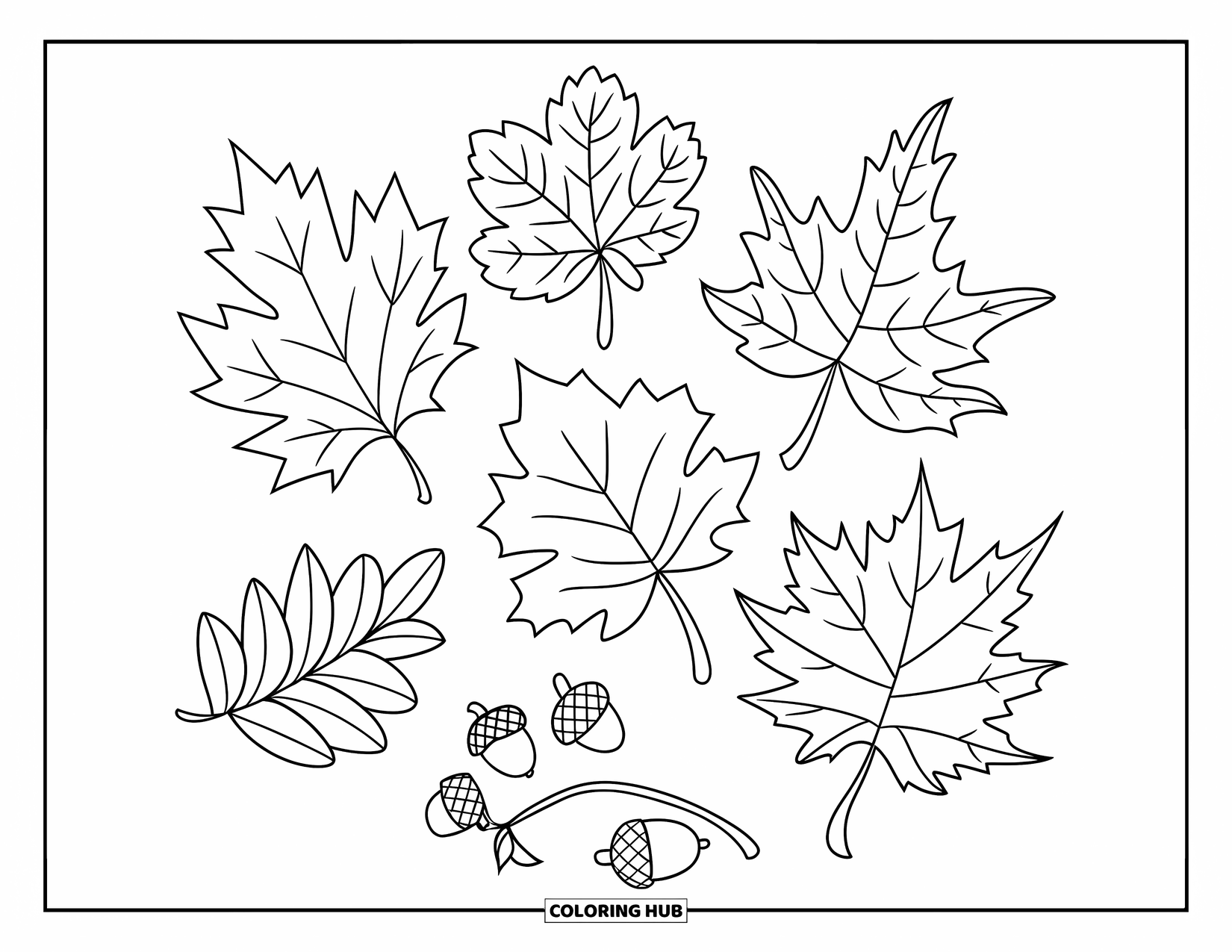 Fall Leaves Coloring Page for Kids: A semi-circle of fall leaves and tiny acorns fill this crisp autumn design