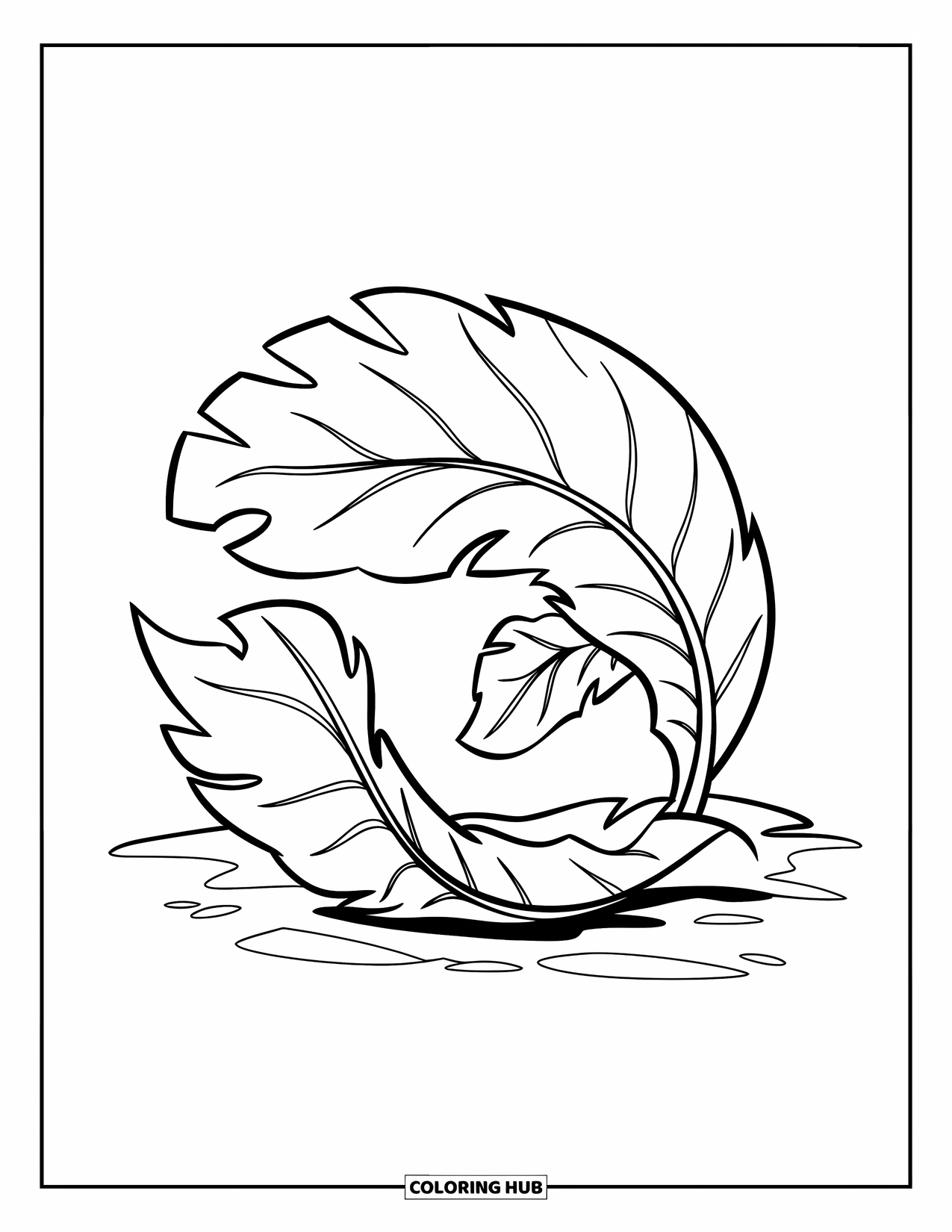 Fall Leaves Coloring Page for Kids: A single birch leaf curls on a clean white background in simple form