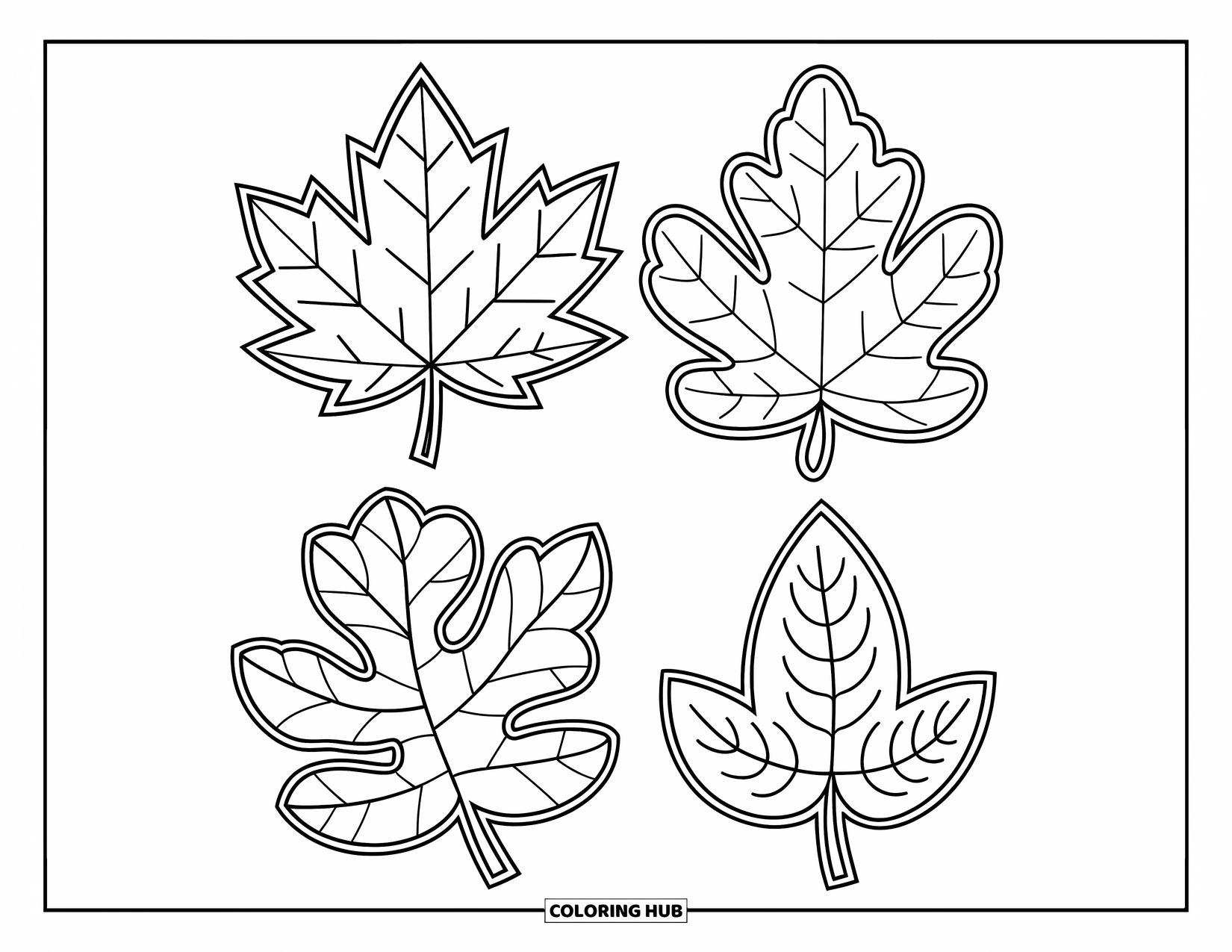 Fall Leaves Coloring Page for Kids: Four different fall leaves are arranged in a tidy square pattern