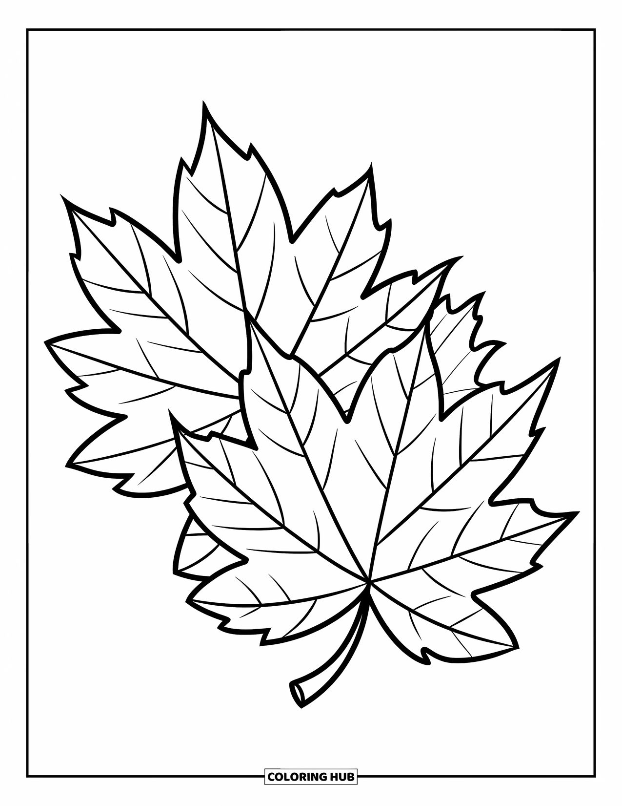 Fall Leaves Coloring Page for Kids: Three big fall leaves overlap in a cheerful pile with bold lines