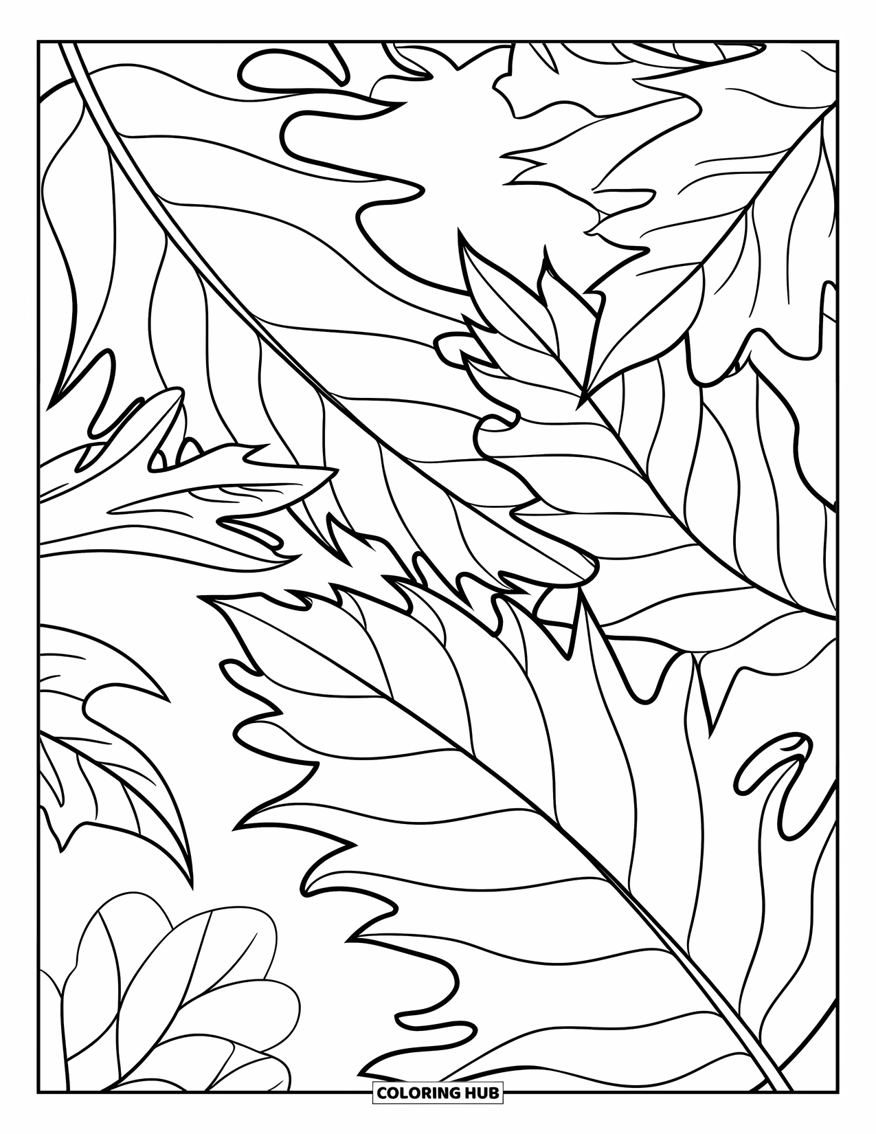 Fall Leaves Coloring Page for Kids: Three layered fall leaves overlap gently on a clean white background
