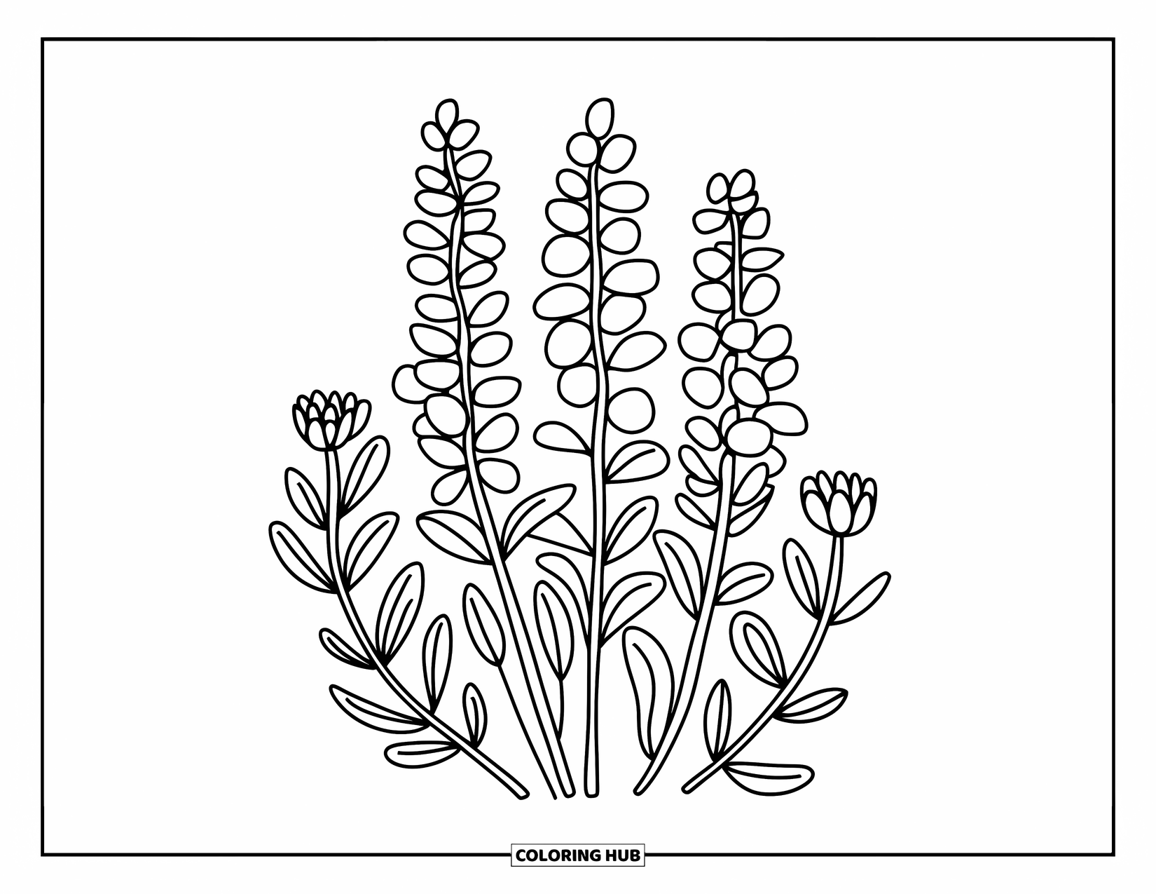 Flower Bouquet Coloring Page for Adults: Relaxed garden bouquet with snapdragons, round flowers, and curling leaves