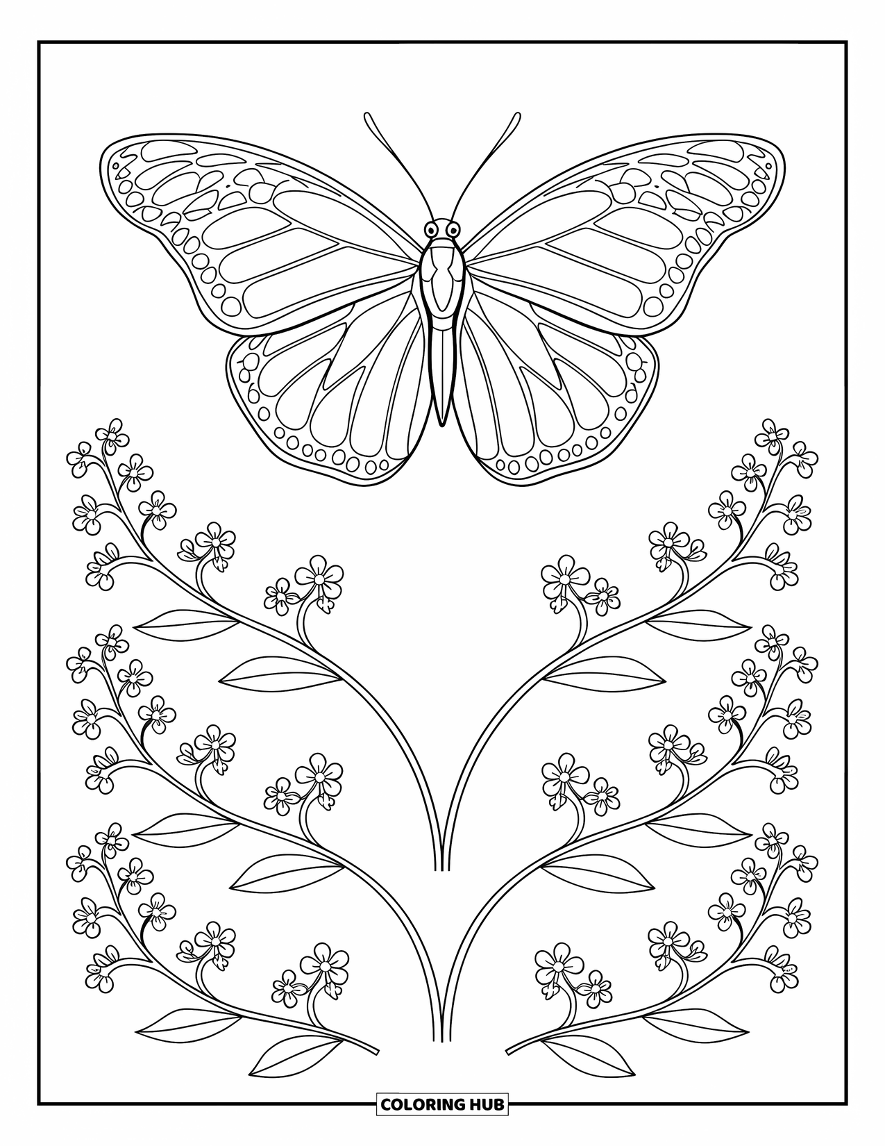 Flower Butterfly Coloring Page for Adults: A butterfly rests on delicate stems lined with tiny flowers