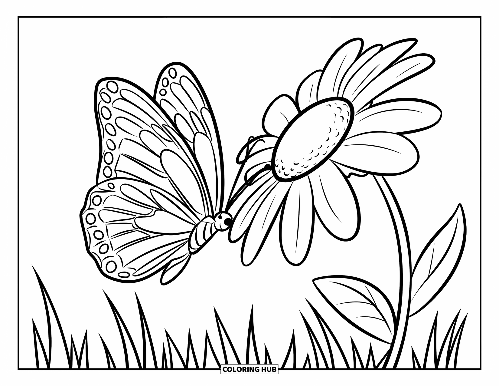 Flower Butterfly Coloring Page for Kids: A butterfly and a big daisy lean toward each other in a field of swaying grass