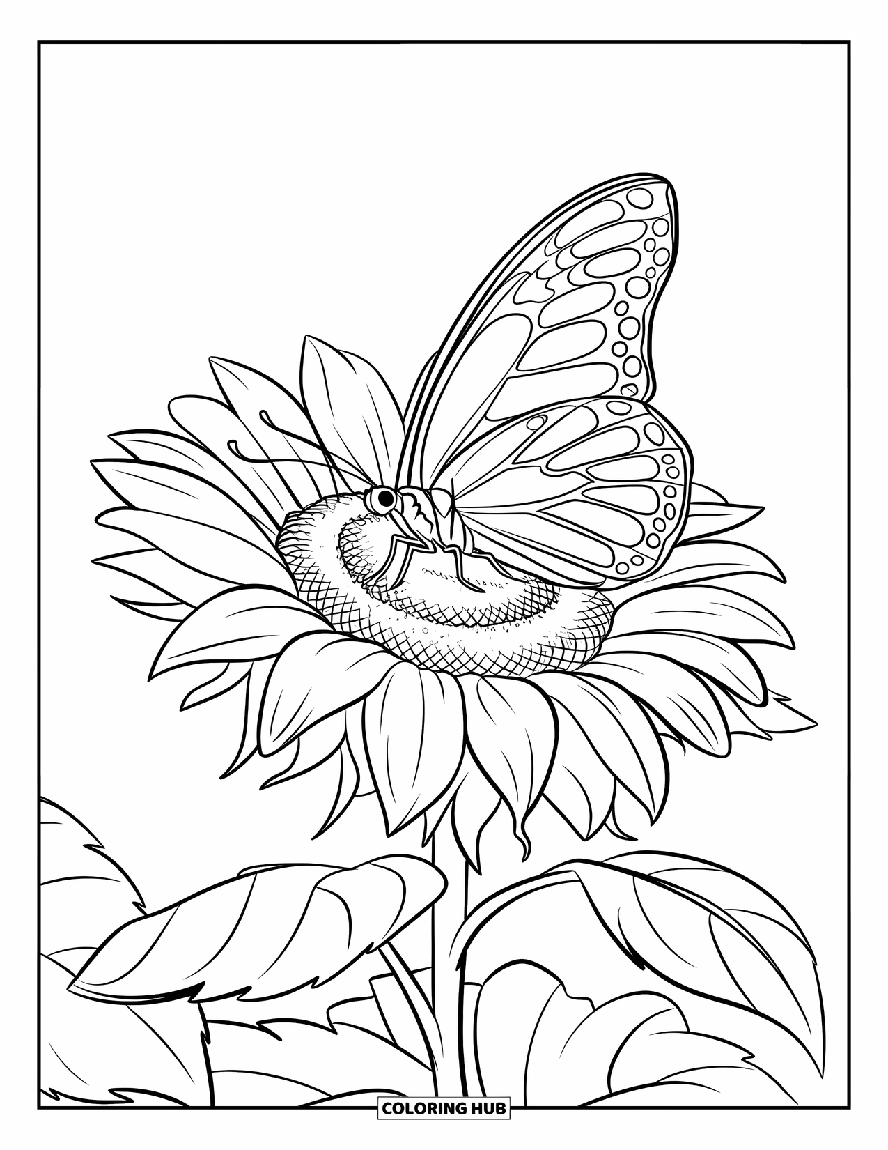 Flower Butterfly Coloring Page for Kids: A butterfly gently rests on a blooming sunflower surrounded by leafy clusters
