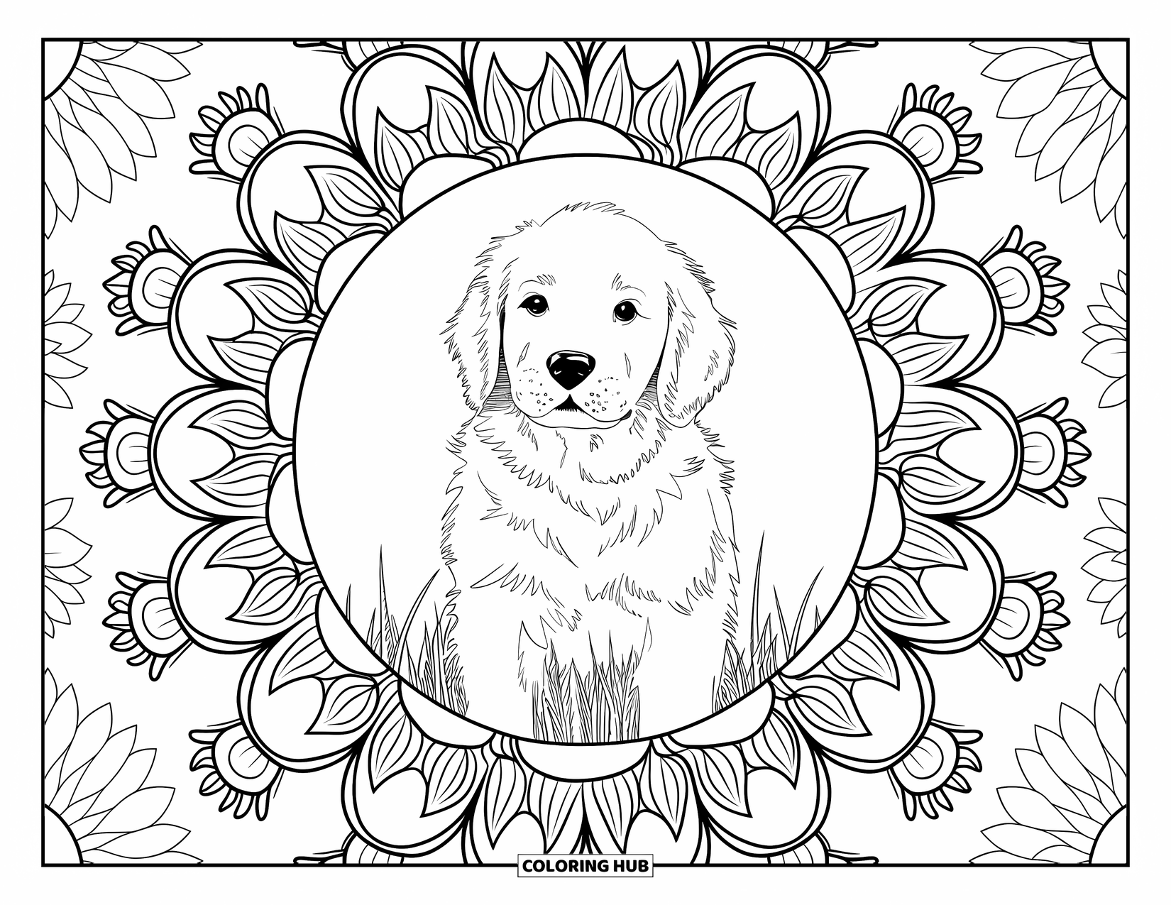 Golden Retriever Puppy Coloring Page for Adults: Fluffy puppy standing in a field framed by layers of sunflowers