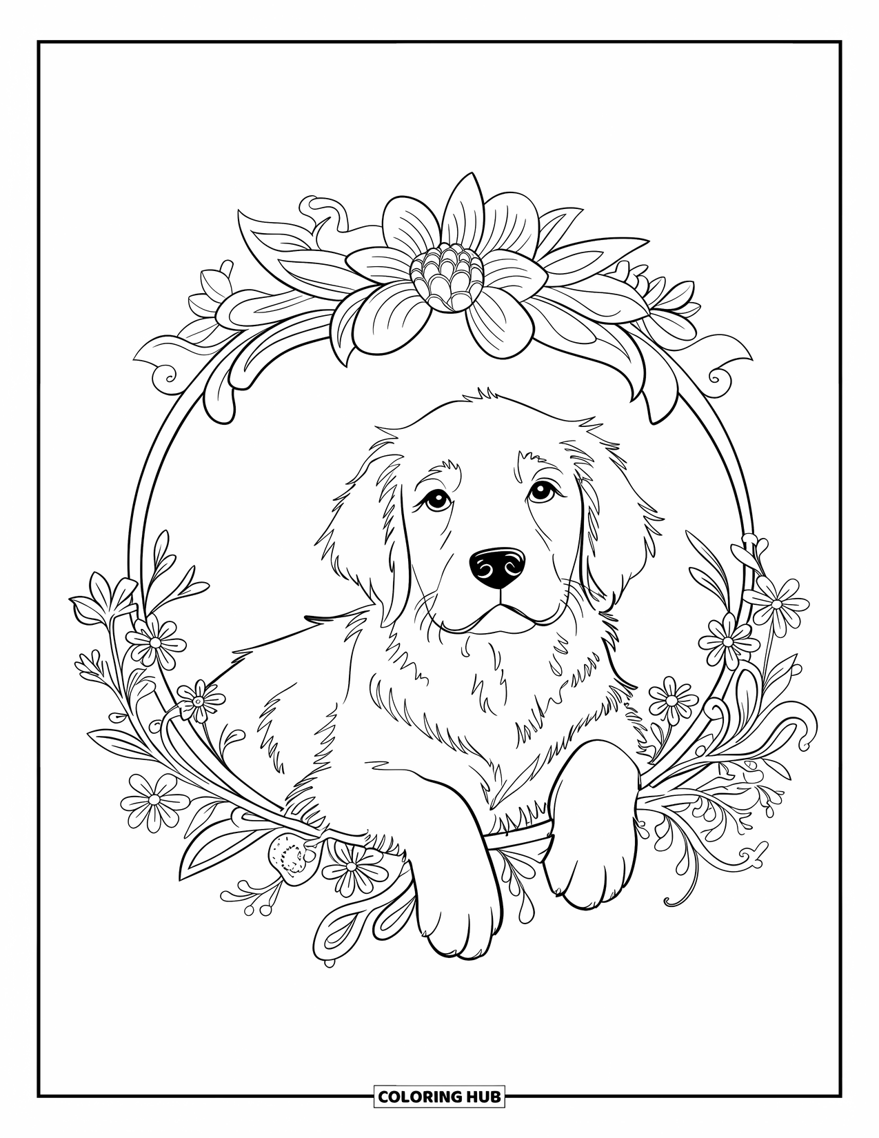 Golden Retriever Puppy Coloring Page for Adults: Peaceful puppy resting in a flower circle with clean outlines