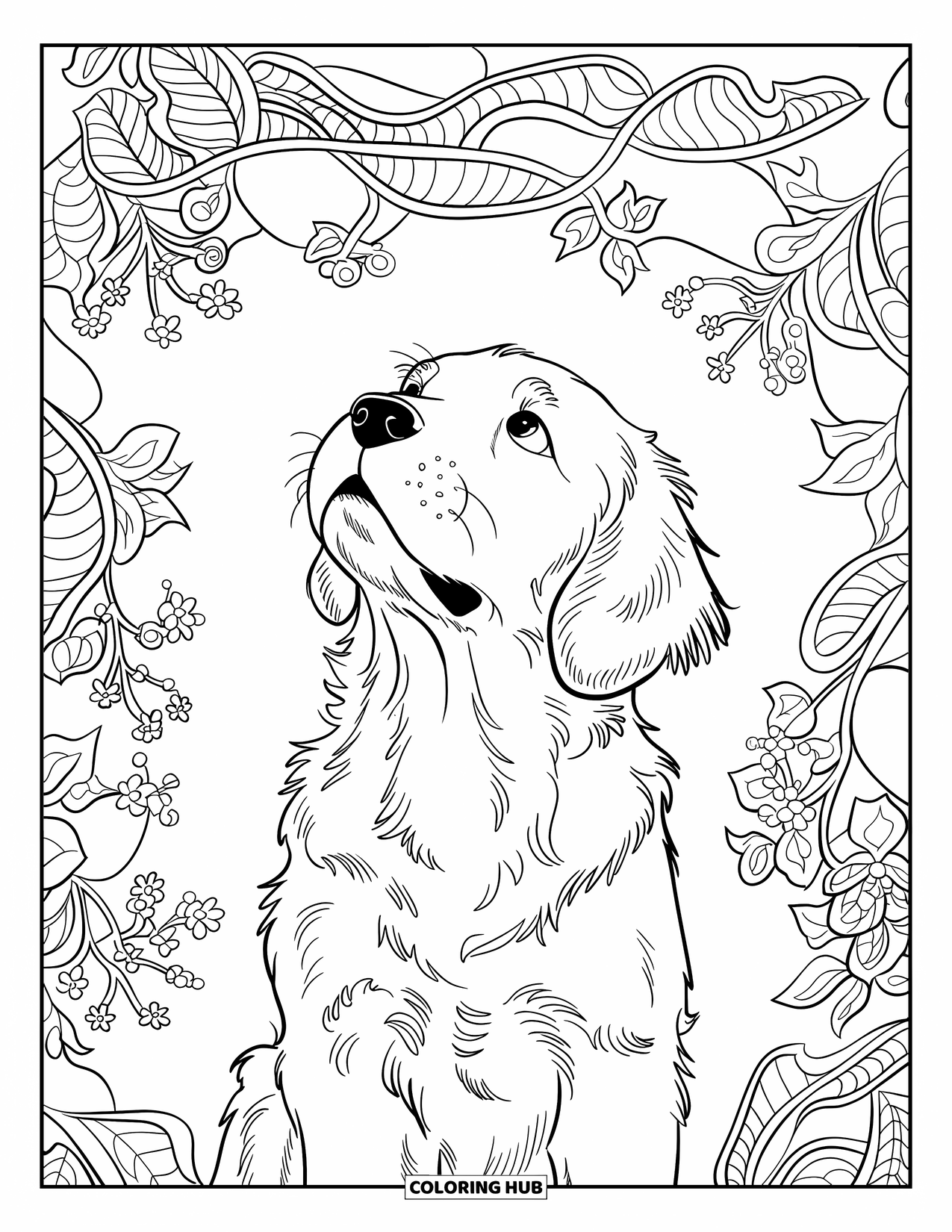 Golden Retriever Puppy Coloring Page for Adults: Puppy looking up inside a leafy floral design with clean outlines