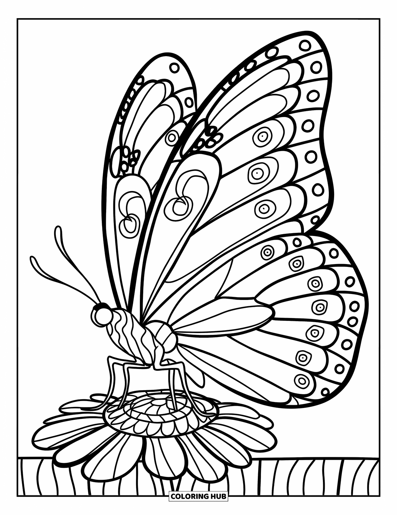 Groovy Coloring Page for Kids: Butterfly on a flower with swirling, patterned wings