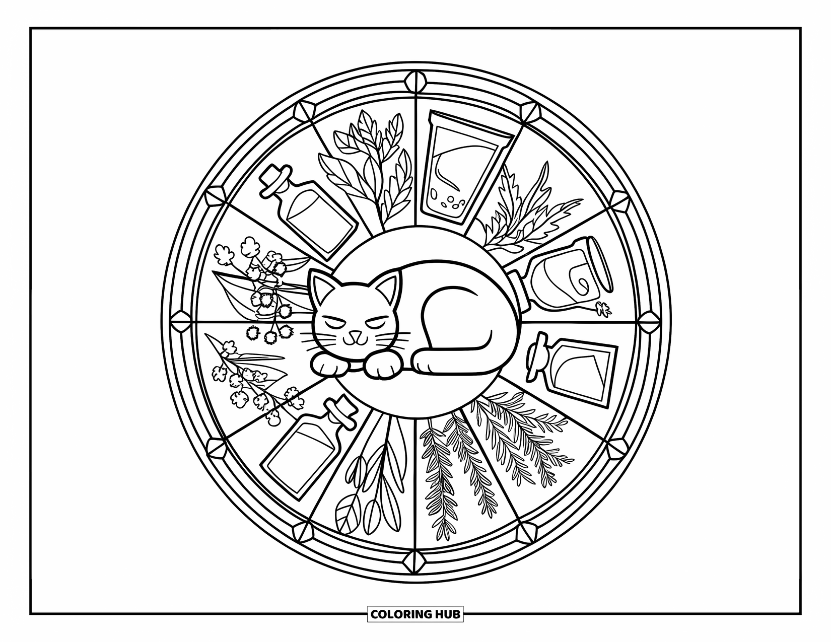 Halloween Cat Coloring Page for Adults: A peaceful cat lies in a circle of herbs and potion bottles with a leafy border