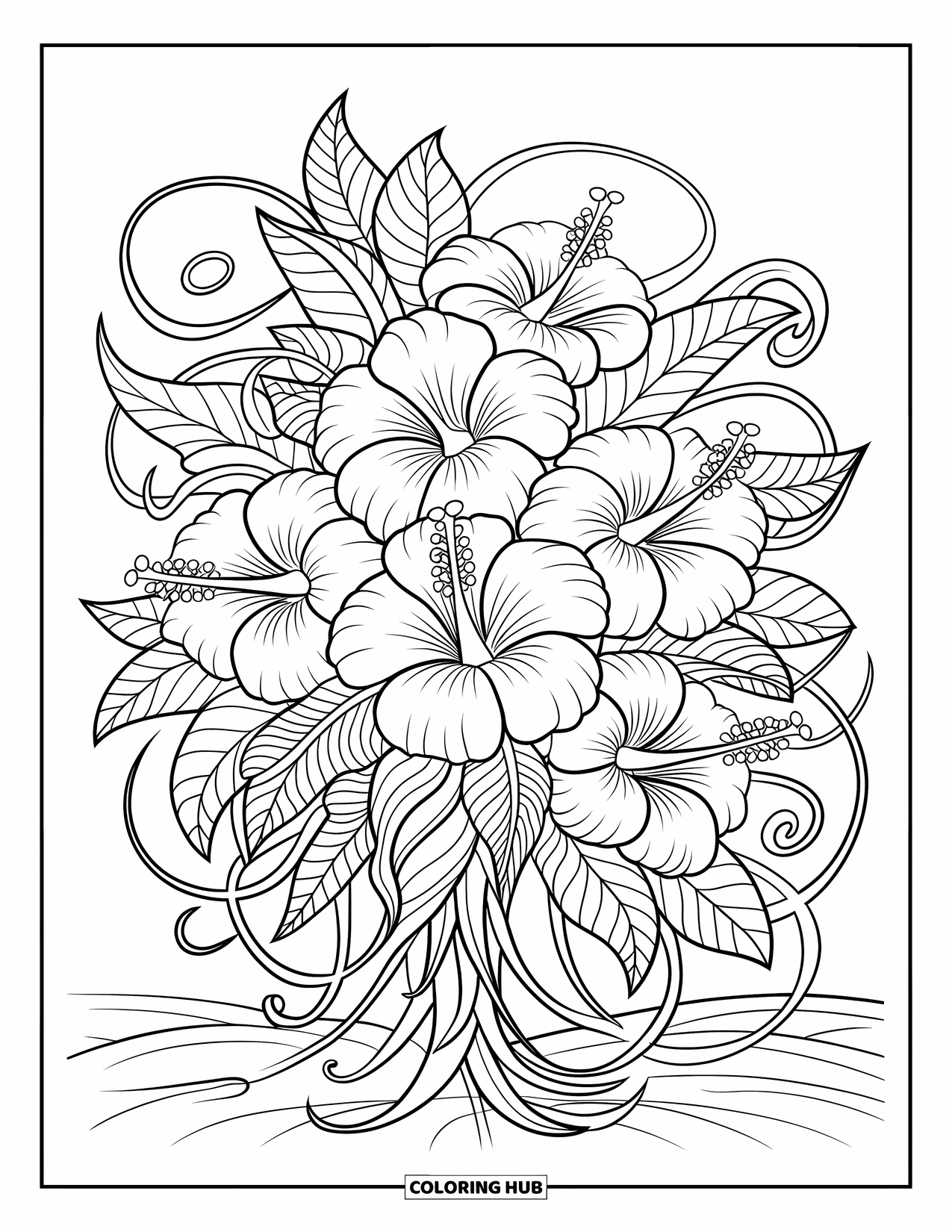Hawaii Coloring Page for Adults: Bold hibiscus flowers and vines swirl together in a calming design