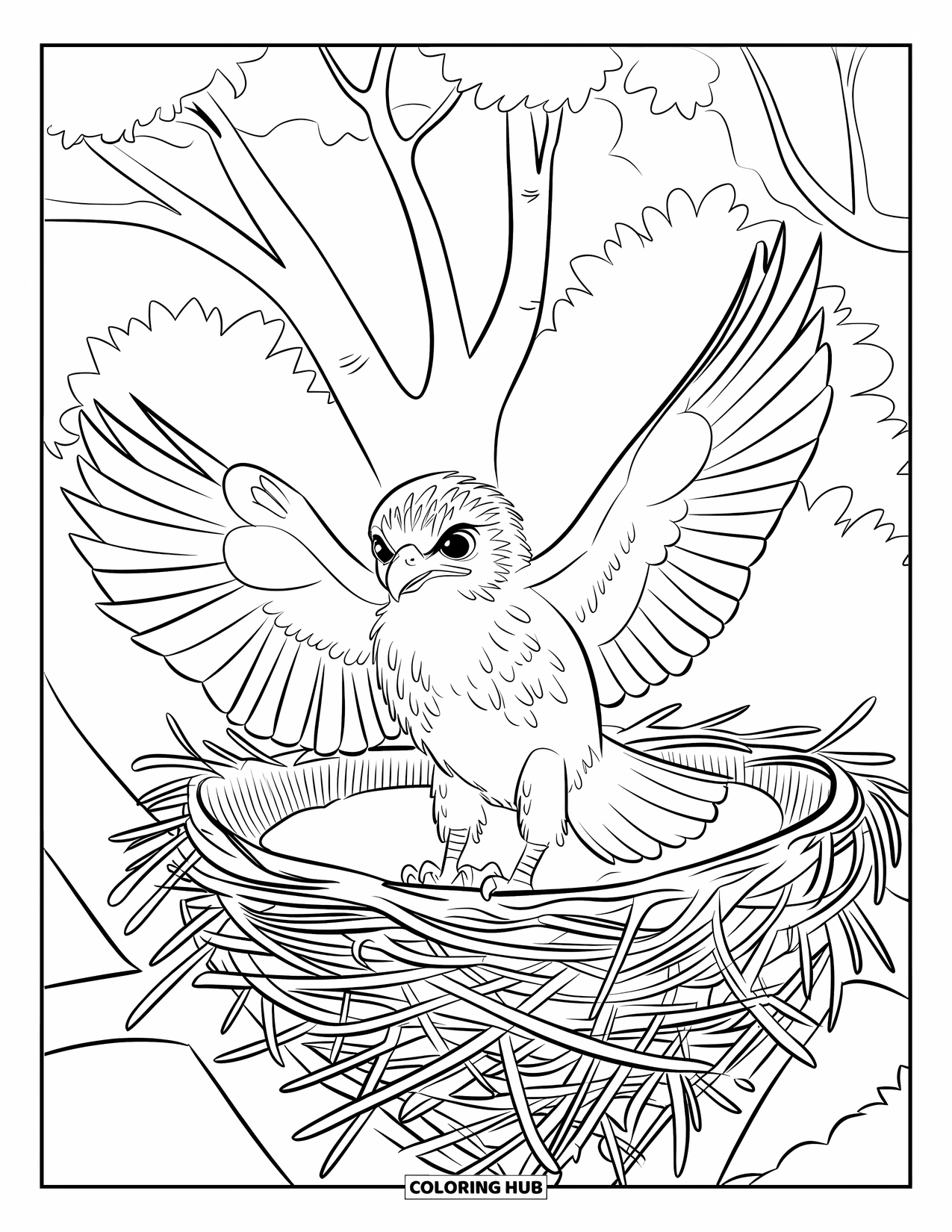 Hawk Coloring Page for Kids: Baby hawk flaps tiny wings for the first time near its nest