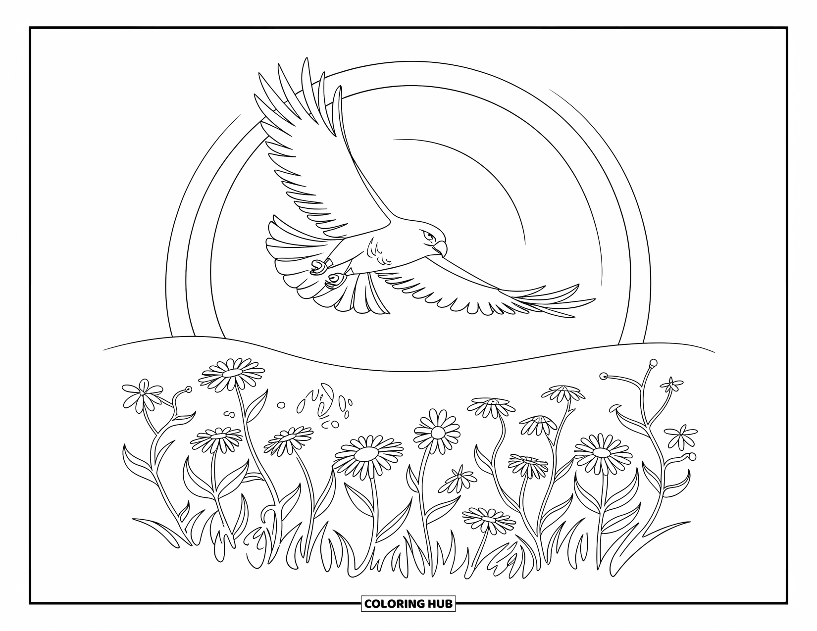 Hawk Coloring Page for Kids: Bold hawk glides above a line-drawn wildflower meadow
