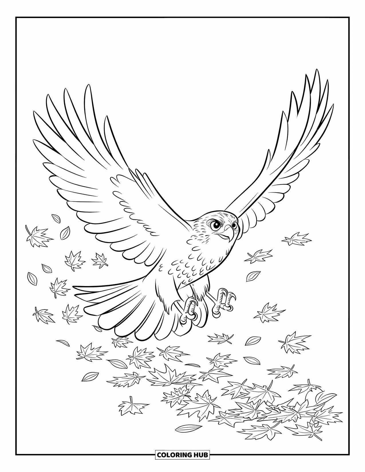 Hawk Coloring Page for Kids: Hawk flies mid-air above scattered leaves with bold outlines