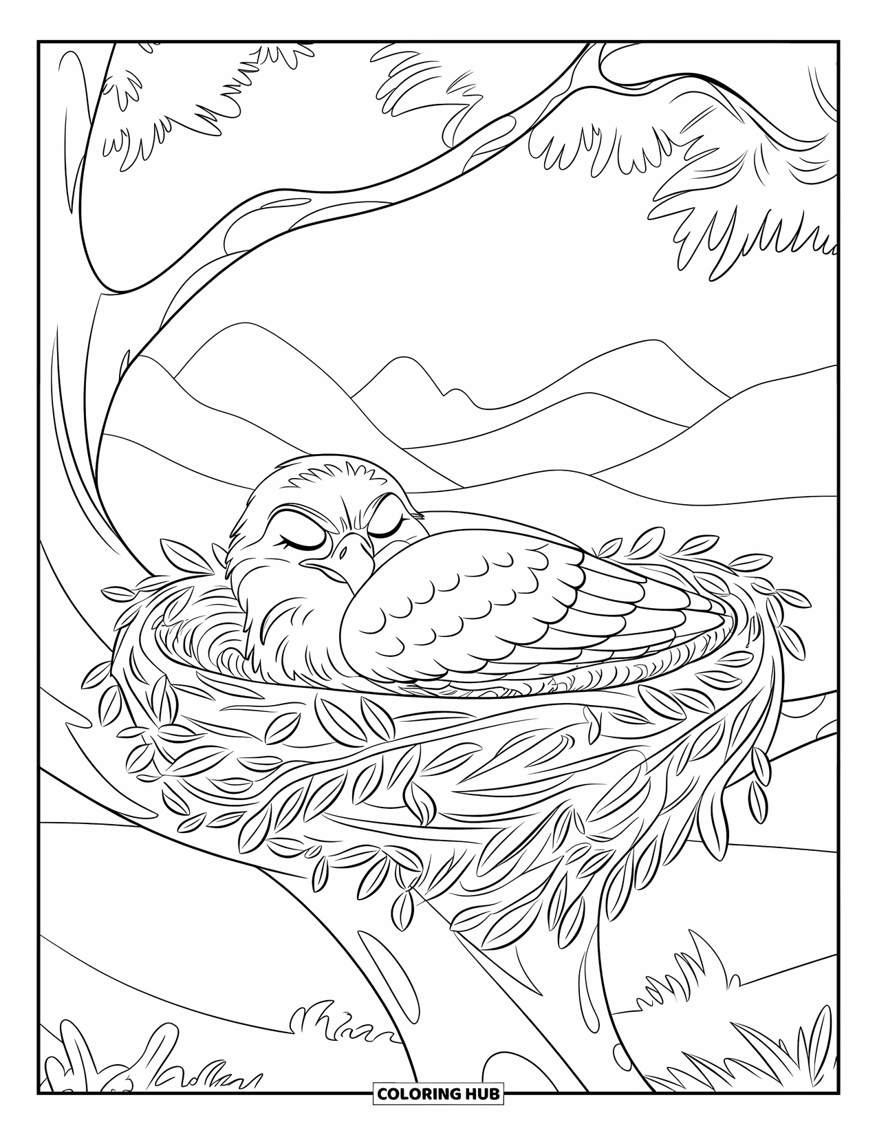 Hawk Coloring Page for Kids: Sleepy hawk wrapped in leaves rests in a nest with mountain scenery